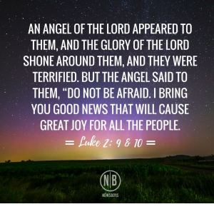 15665502_10154191931267066_8602810021956060671_n